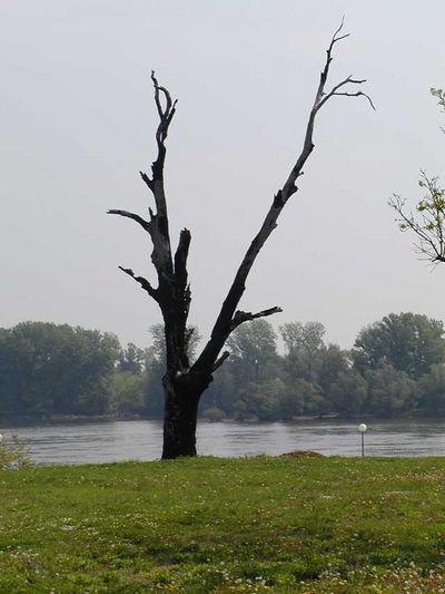 Vodotoranj - simbol domovinskog rata i nepokorenosti Vukovara