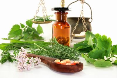 Homeopatija (ilustracija: Acute and Chronic Treatment)